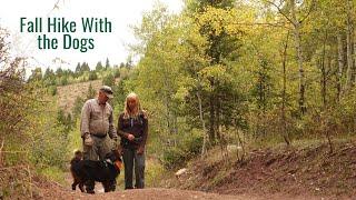 A Break from Building to Take a Fall Hike with the Dogs Enjoying the Mountains Near Our Home