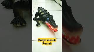 BUAYA MASUK RUMAH