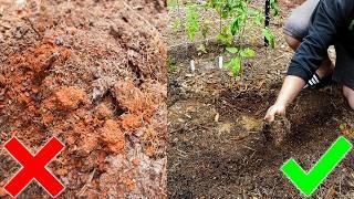 Improving Clay Soil the EASY Way for the Homestead Garden