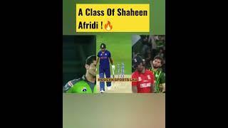 Shaheen shah Afridi has his own class   #cricketshorts  #babarazam #shaheenafridi #psl8 #cricket