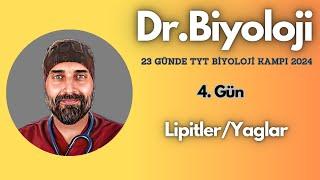 Lipitler - Yağlar 23 Günde TYT Biyoloji Kampı yks2024  9. Sınıf