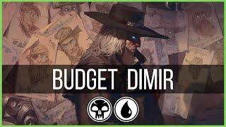 Budget Deck  Dimir Crime & Graveyard  Standard Deck for Beginners  MTG Arena