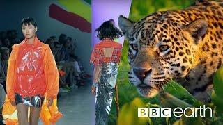 Can Fashion Be Sustainable?  BBC Earth