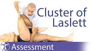 Cluster of Laslett  Sacroiliac Joint Pain Provocation