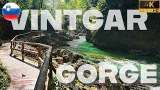 Vintgar gorge Slovenia