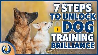 7 Easy Steps To Maximize Your Dog Training Experience