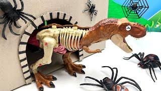 Tyrannosaurus Dangerous In Cave  Dinosaur Anatomy Play-set Fun Video