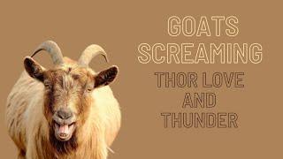 Goats Screaming   Thor Love and Thunder  Nocturnal 