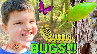 Caleb & Mommy Play and Find REAL BUGS Outside KiD BUG HUNT in THE WOODS
