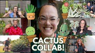 Cactus collab  Plant with Roos and friends