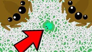 MOPE.IO BIGGEST FAIL EVER  Giant Spider Web Dragon Troll Mope.io Funny Moments