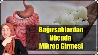 Bağırsaklardan Vücuda Mikrop Girmesi Uzm. Fzt. Osteopat cPNI T. Ahmet Süleymanoğlu  Fzt Aynur BAŞ