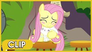 Fluttershy and Angel Sympathize with Each Other - MLP Friendship Is Magic Season 9