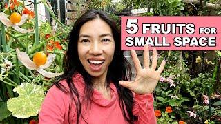 Small Space Gardening Grow Fruits in 2 Inch Pots & More