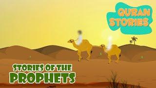 Stories from the Quran  Prophet Stories  Islamic Stories In English  Ramadan Lessons  #prophet