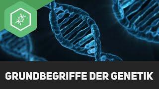 Grundbegriffe der Genetik