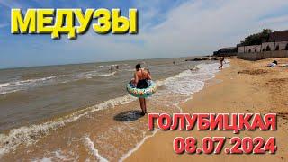 8 июля 2024 г. #голубицкая  Пляж Чайка Азовское море Медузы обстановка