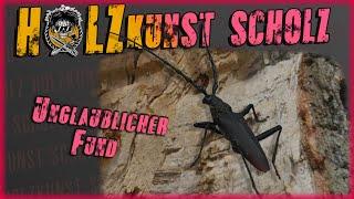 der Große Eichenbock  seltener Besuch bei Holzkunst Scholz