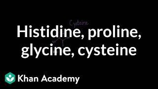 Special cases Histidine proline glycine cysteine  MCAT  Khan Academy