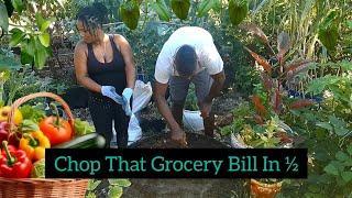 Chop That Grocery Bill In Half  We Cant Afford Carrots So We Plant Them 