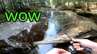 Fishing Small Creek In Muskoka Ontario Fishing