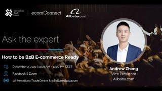 Ask the Expert  How to be B2B E-Commerce Ready