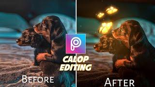 Calop Dog Photo Editing Concept  in PicsArt Editing@calop