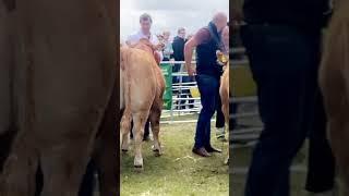 Pairs class - Erris Ag Show