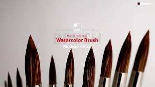 ShinHan Professional Watercolor Brush 870R MLㅣUSP Official Film