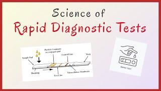 Rapid Card Testing Principle  Immunochromatography   explained in Hindi