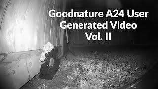 Goodnature A24 Rat & Mouse Trap User Submitted Videos Vol. 2  Rat & Mouse Trap In Action