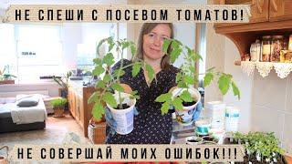 Когда сеять томаты на рассаду?