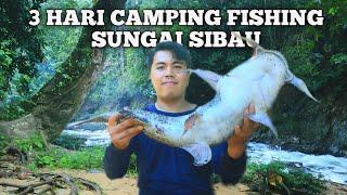 Campingg fishing 3 hari di sungai sibau pertualangan dapat ikan bagarius bermalam di hutan