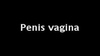 Penis Vagina Song