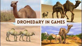 Dromedary Camel Comparison in 6 Games 