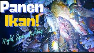 SPEAR FISHING  PANAH IKAN MALAM KE XVIII #spearfishingindonesia #panahikan