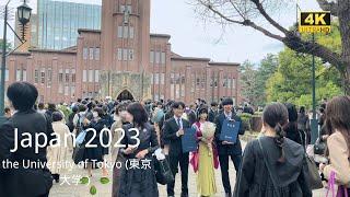 4k hdr japan   The graduation ceremony of the University of Tokyo 東京大学卒業式）2023 walk in the campus