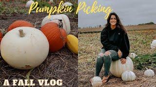 FALL Vlog  Pumpkin Patch & Cinnamon Rolls