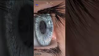 The Human Eye ️ Animation  Medical🩺short video 25s  #eyes #shortvideo