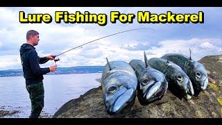 EASY Mackerel Fishing - Catching and cooking the freshest fish on the shore