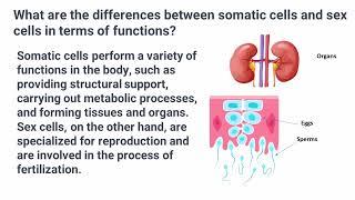 Somatic and Sex Cells