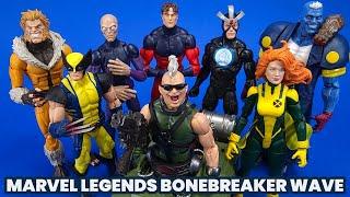 Marvel Legends X-Men Bonebreaker Wave Wolverine Sabretooth Havok Siryn Vulcan Darwin Review