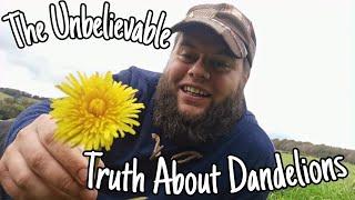 The Unbelievable Truth About Dandelions