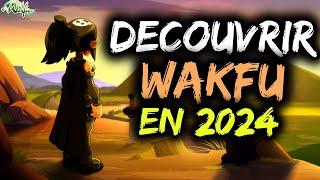 QUEL SERVEUR CHOISIR POUR reDECOUVRIR WAKFU EN 2024 ? Serveur monocompte ou multicompte