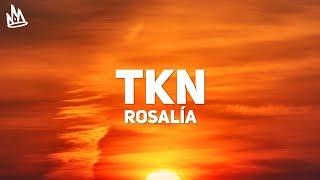 ROSALIA - TKN Letra  Lyrics ft. Travis Scott