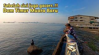 spot pinggiran banyak strike.. mancing di muara baru