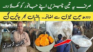 How to increase milk of Cows and Buffalos Fastly  Desi Formula to Increase Milk  Dairy Farm Tips