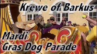 Mardi Gras Krewe of Barkus - Parade of Costumed Dogs in New Orleanss French Quarter