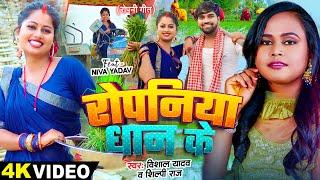 #Video  रोपनिया धान के  #Vishal Yadav #Shilpi Raj  Ropaniya Dhan Ke  Bhojpuri Ropani Geet 2024