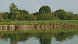 Anacostia River Splash event is postponed